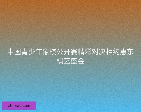 中国青少年象棋公开赛精彩对决相约惠东棋艺盛会